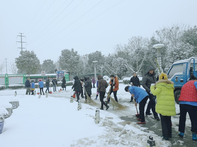 方便市民出行 我院党员干部职工上路铲雪(图7)