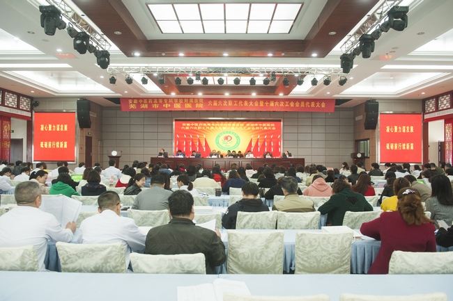 凝心聚力谋发展 砥砺前行续新篇 ——我院六届六次职代会暨十届六次工代会胜利召开(图1)