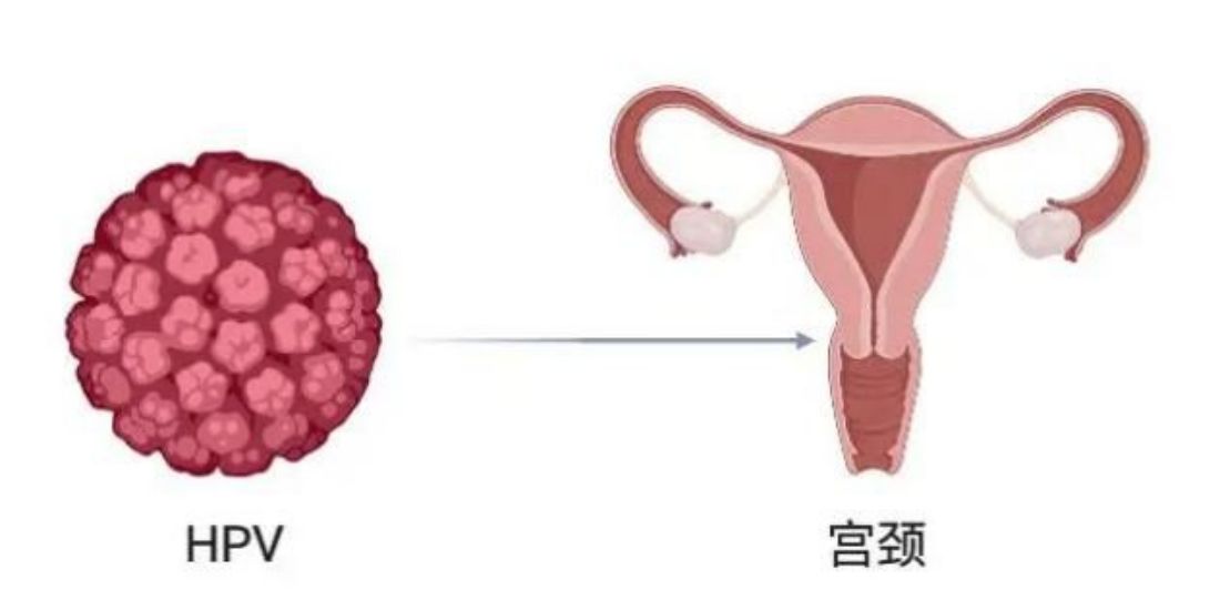 图片 1.jpg